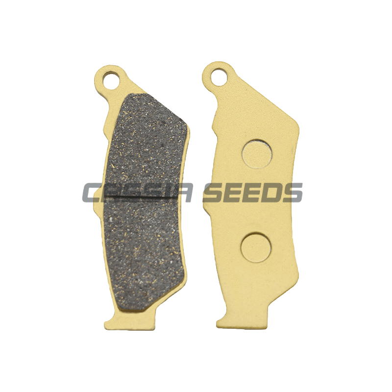 MOTORFIETS REMBLOKKEN VOOR EN  - Carbon Ceramic Motorcycle Brake Rotor recensie en prijs